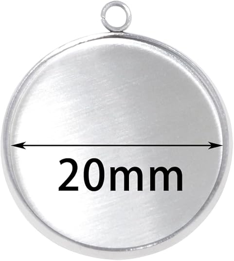 20 Pieces Stainless Steel Roun - Jewelry Making Tray review and price