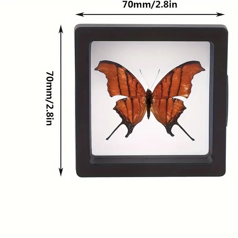 20Pcs Clearview 3D Floating Di - Jewelry Making Tray review and price